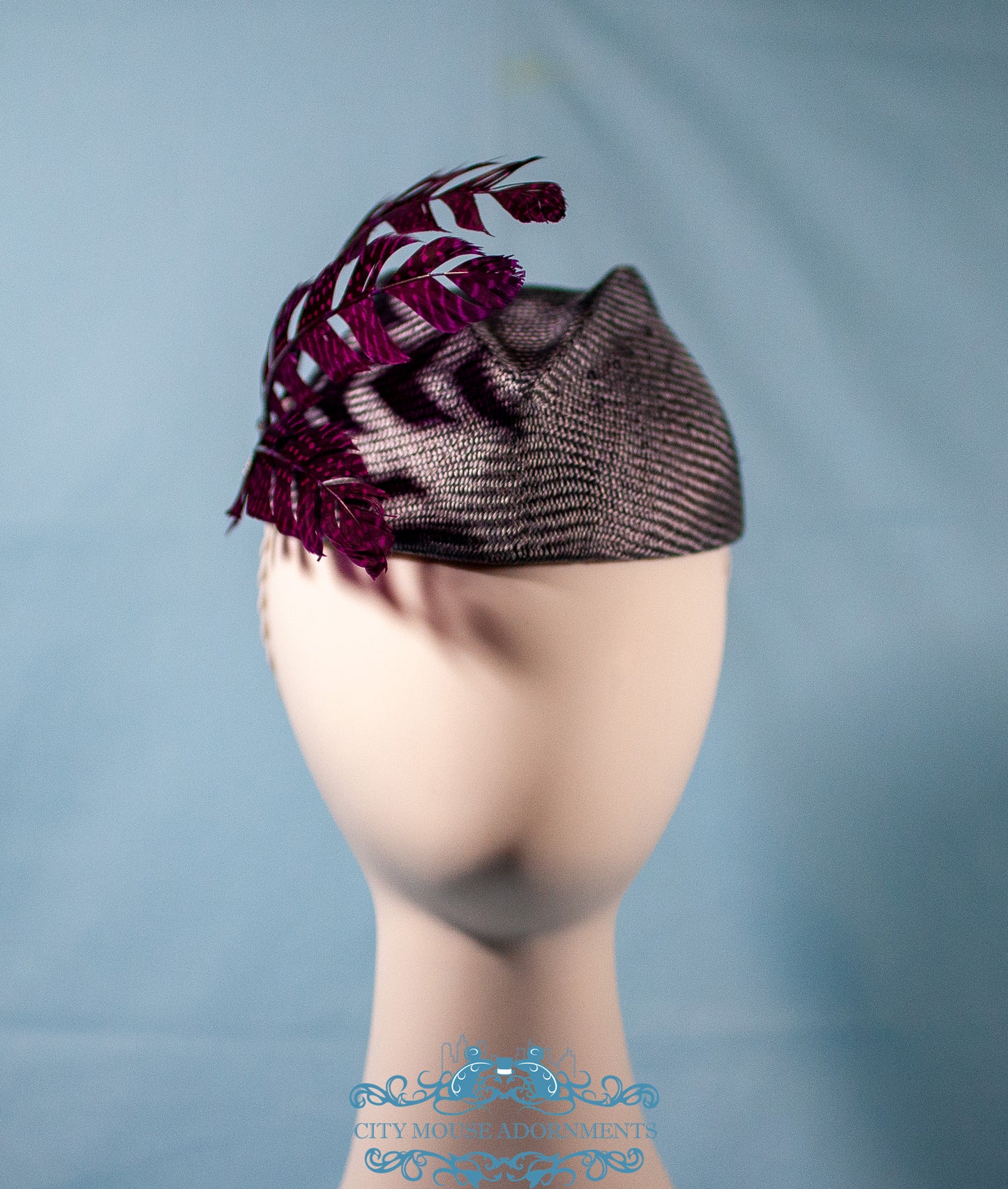 Altitude Attitude Perching Hat